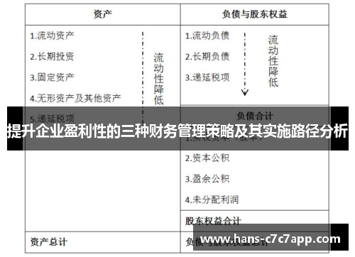 提升企业盈利性的三种财务管理策略及其实施路径分析 提升企业盈利性的三种财务管理策略及其实施路径分析