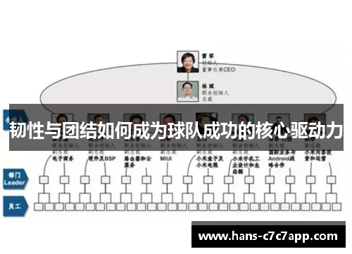 韧性与团结如何成为球队成功的核心驱动力