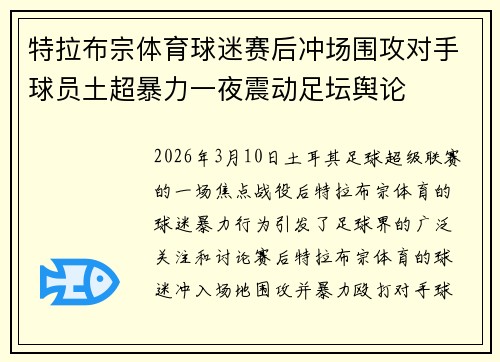 特拉布宗体育球迷赛后冲场围攻对手球员土超暴力一夜震动足坛舆论 特拉布宗体育球迷赛后冲场围攻对手球员土超暴力一夜震动足坛舆论
